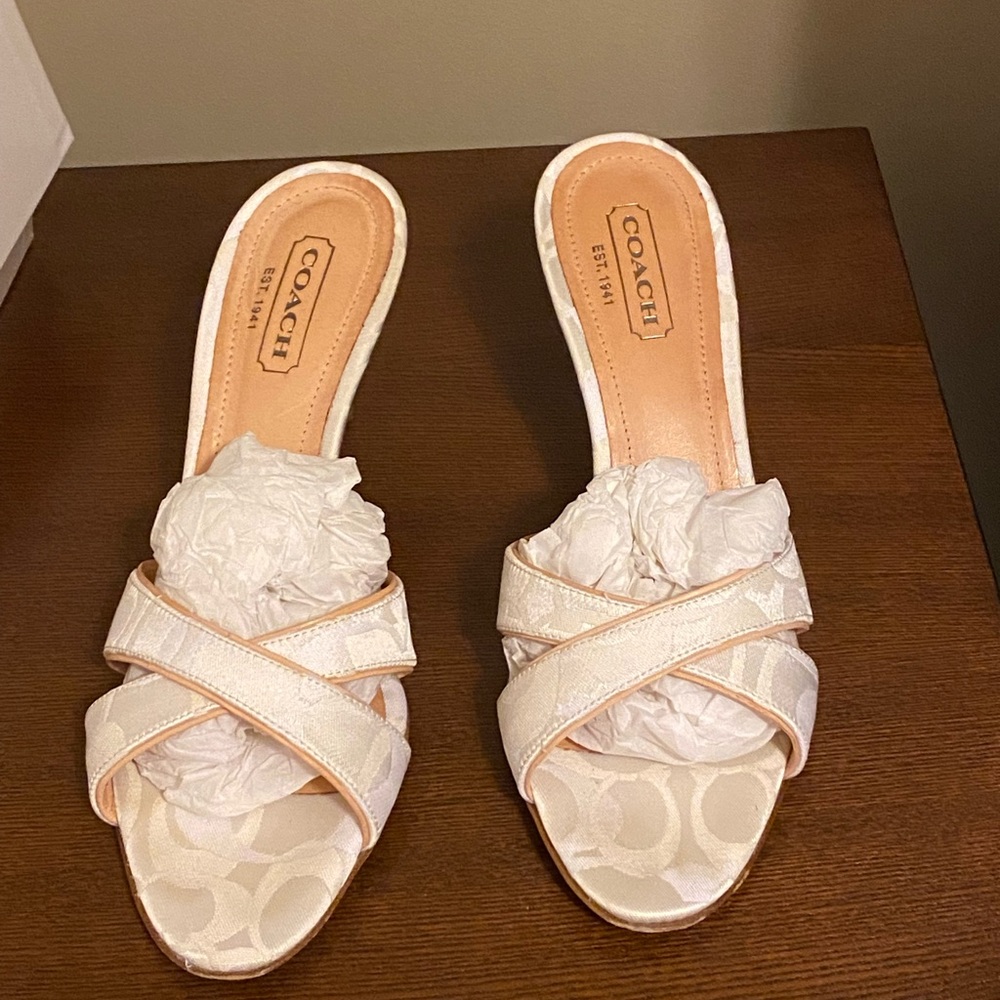 Yes, shoes for sale. Coach natural low heels.  Great condition.